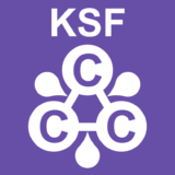 3C分析とKSFに基づく企業戦略：大前研一の戦略的三角関係