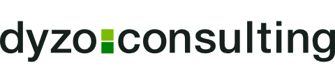 dyzo.consulting